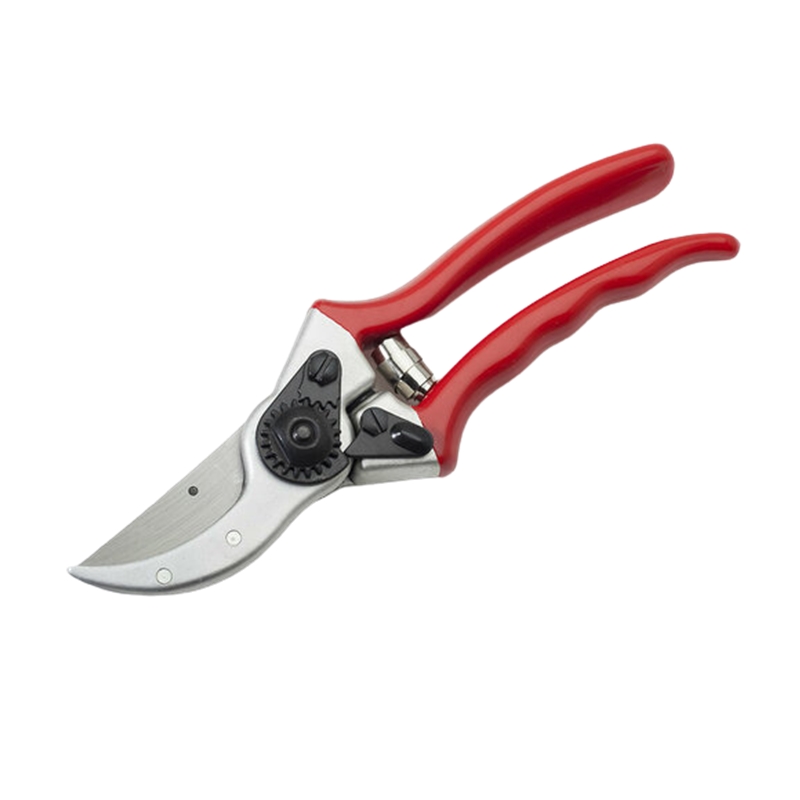 Superior Fruit H2 Pruner